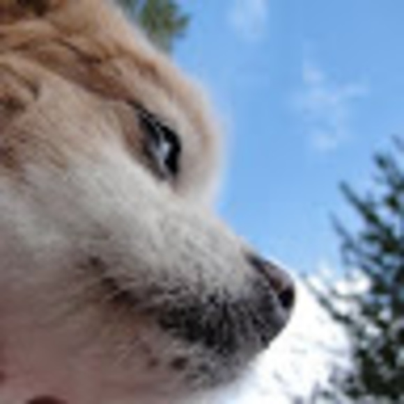 Meet your Posher, Chelsea - Picture 1 of 1